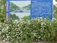 虹橋南路周邊地塊舊城改造項(xiàng)目