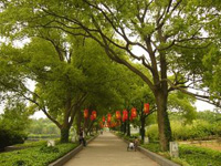 永安公園文化廣場景觀綠化